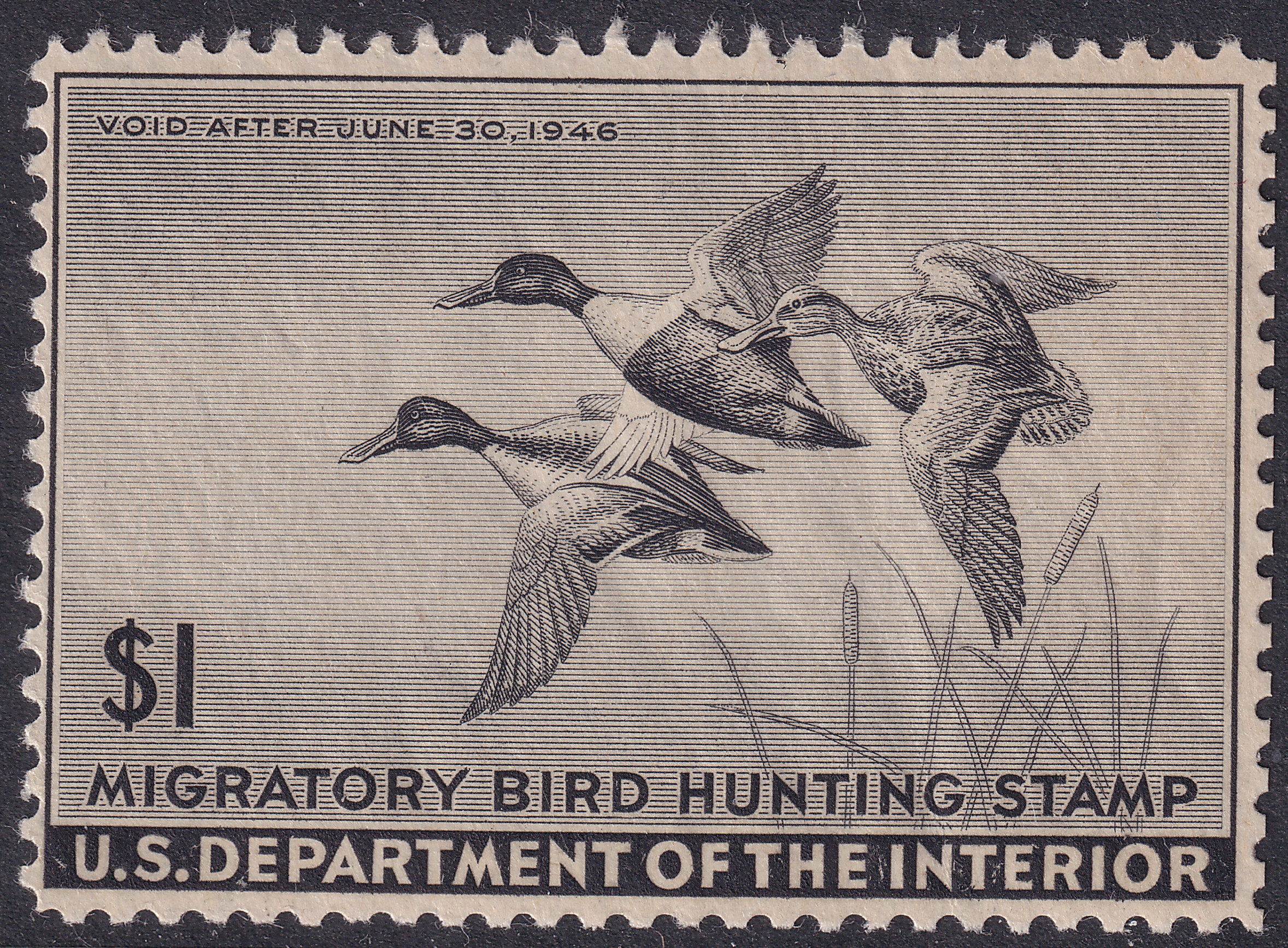 Stamp Picture