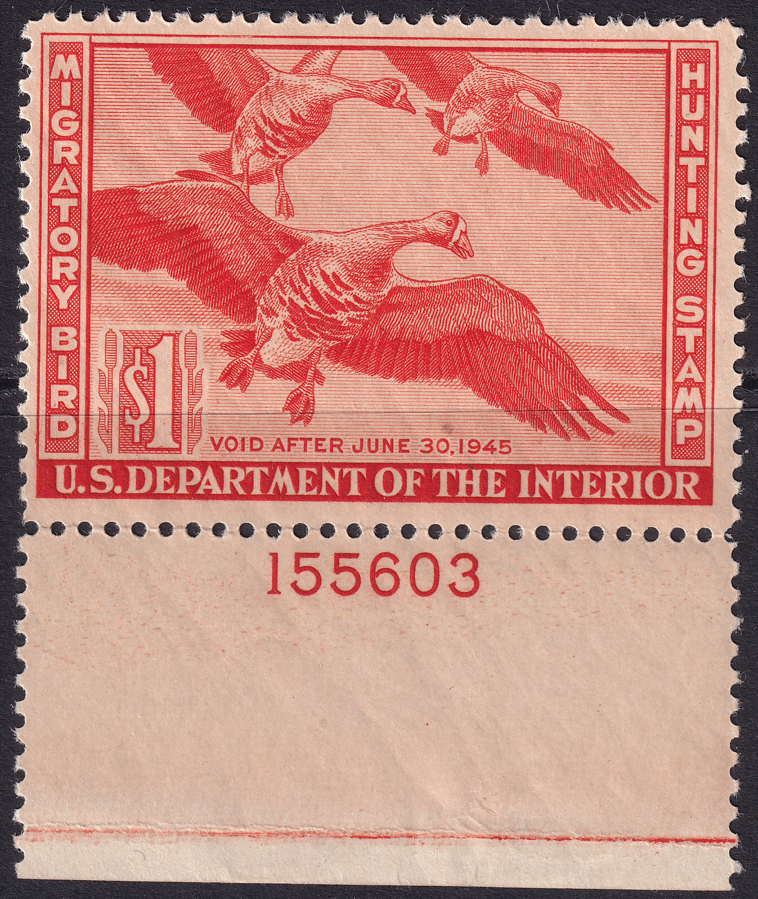 Stamp Picture
