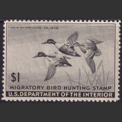 Stamp Picture