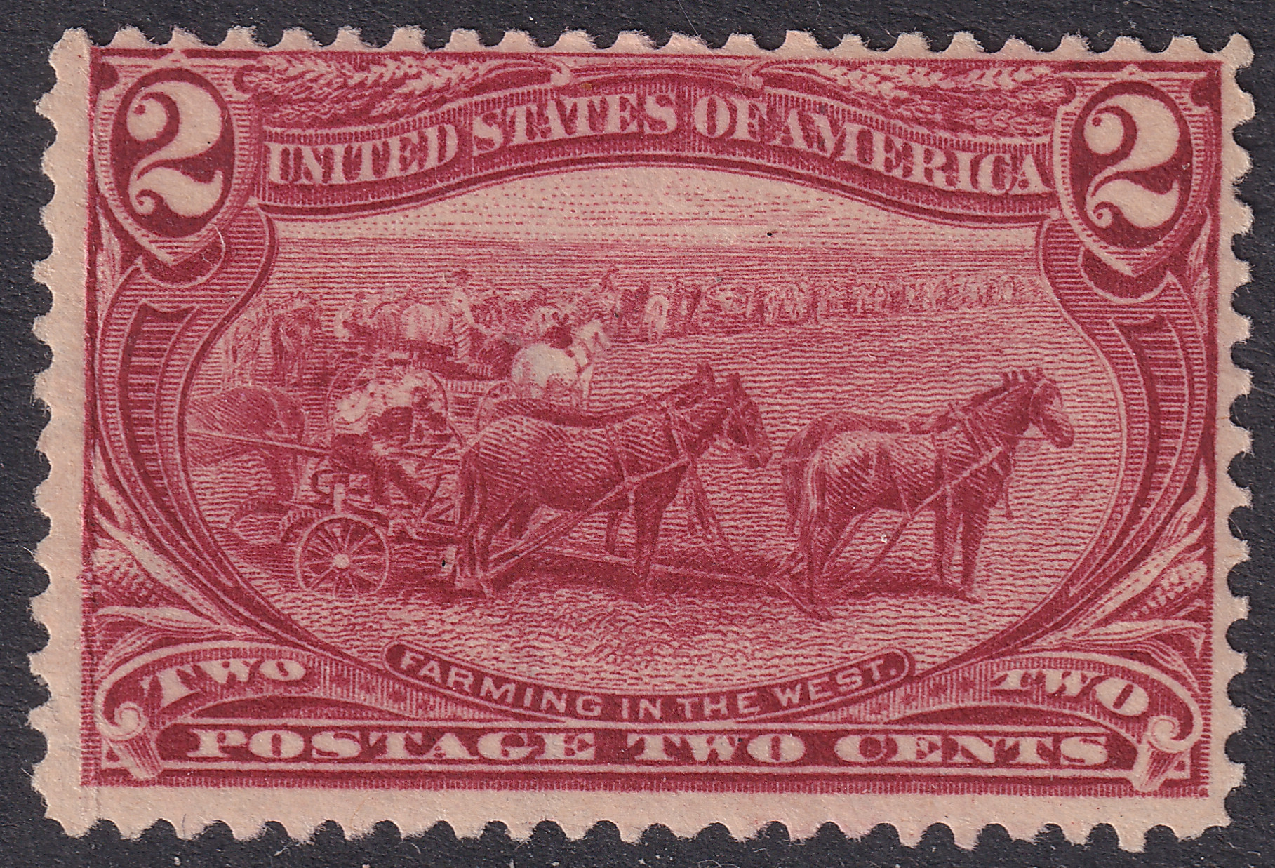 Stamp Picture