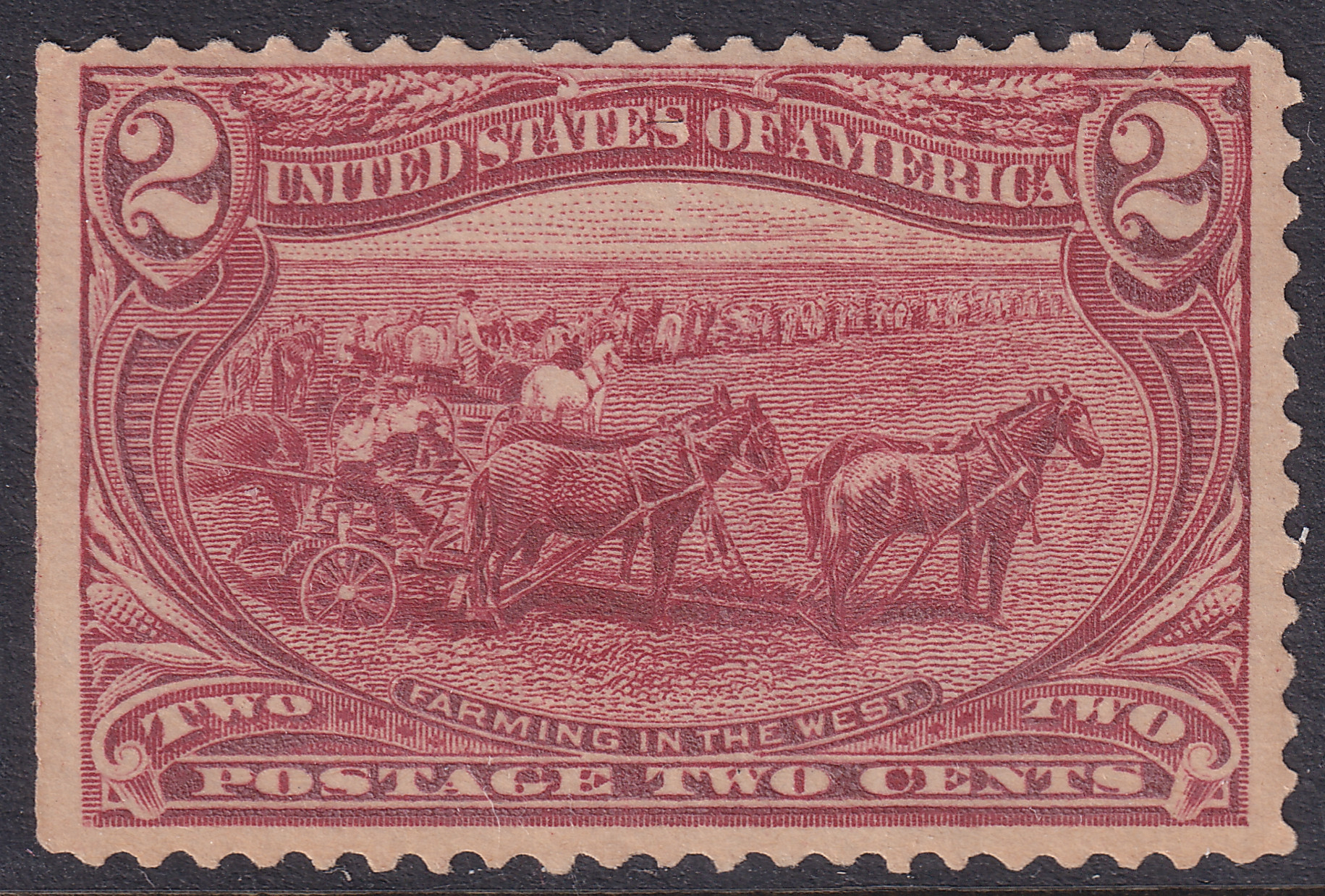 Stamp Picture