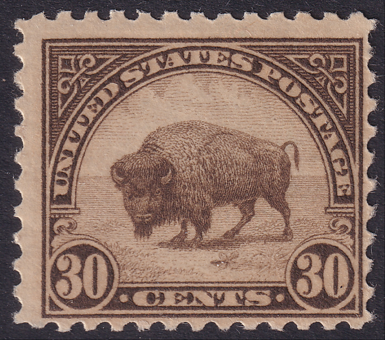 Stamp Picture