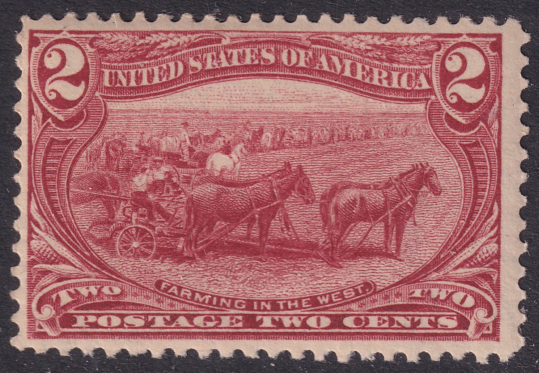 Stamp Picture