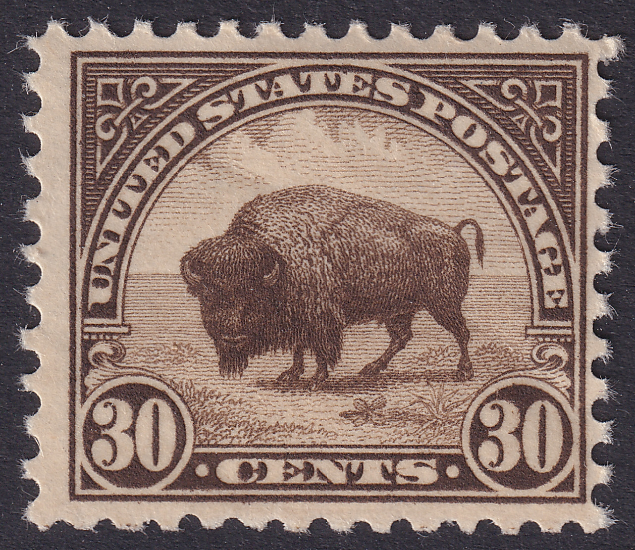 Stamp Picture