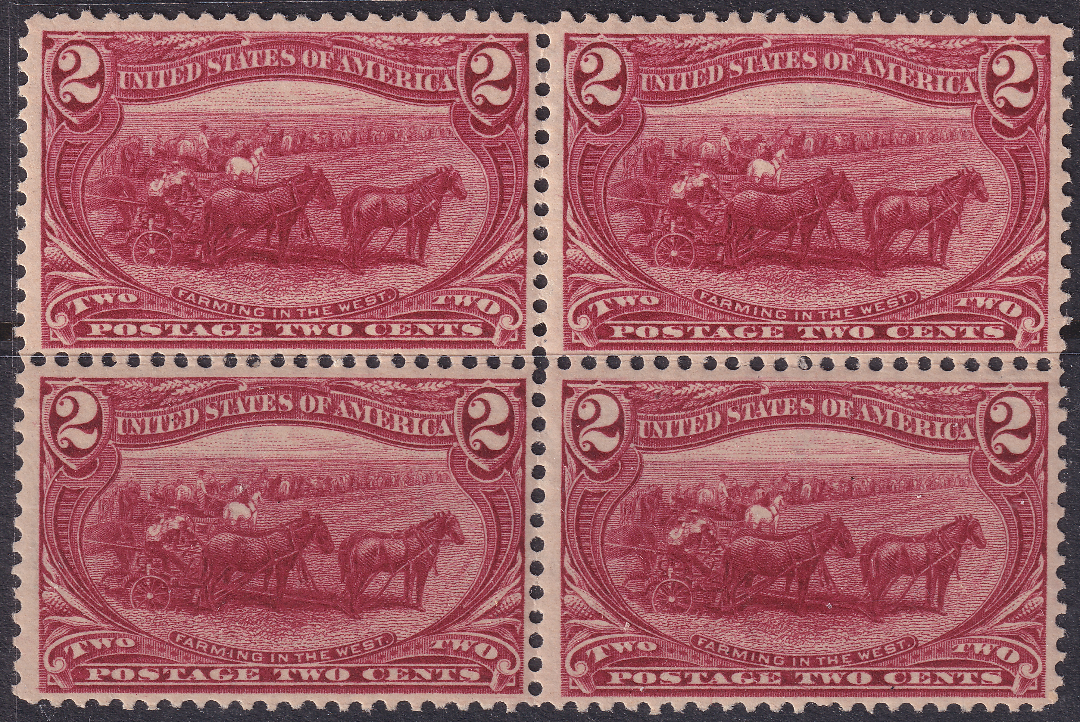 Stamp Picture