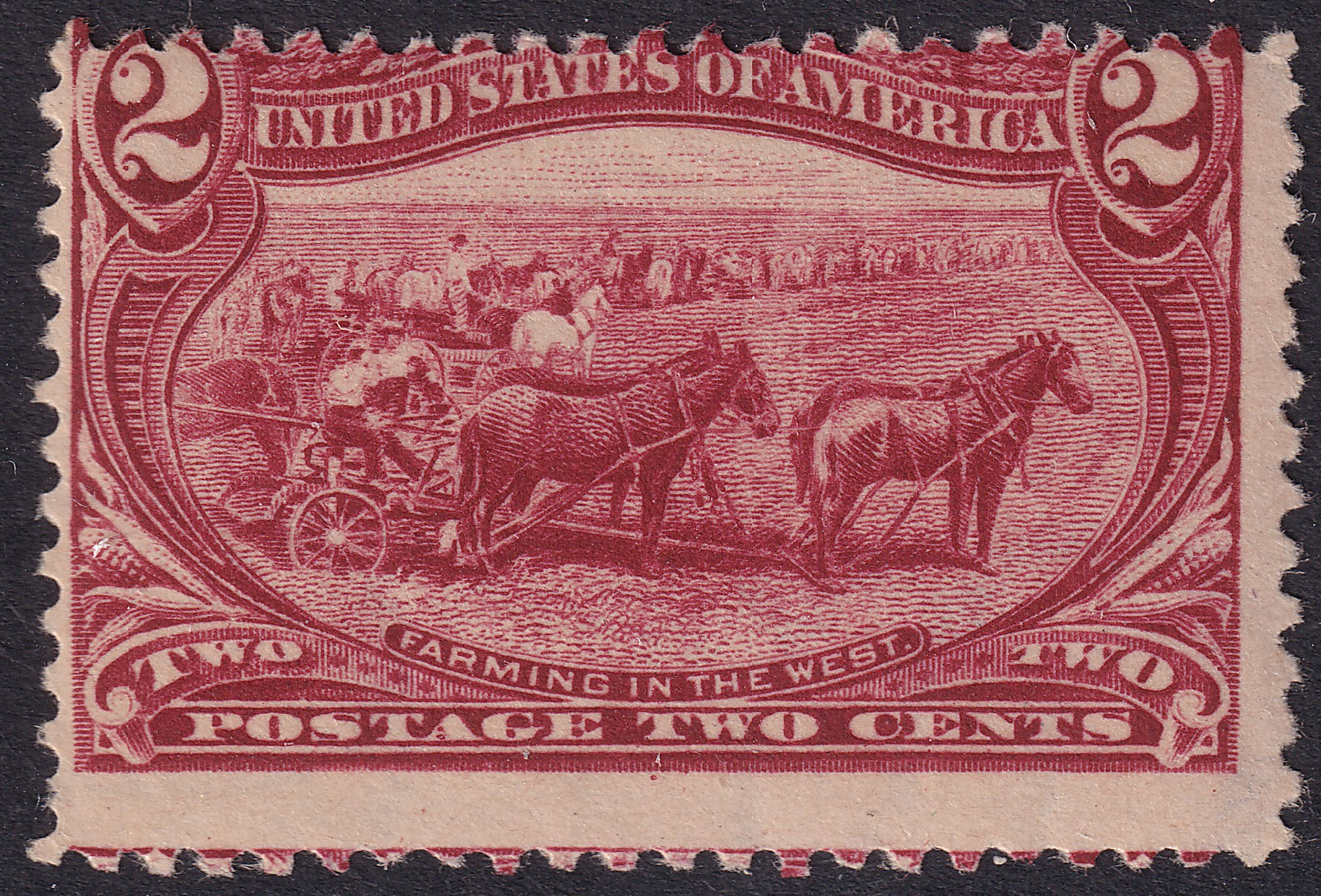 Stamp Picture