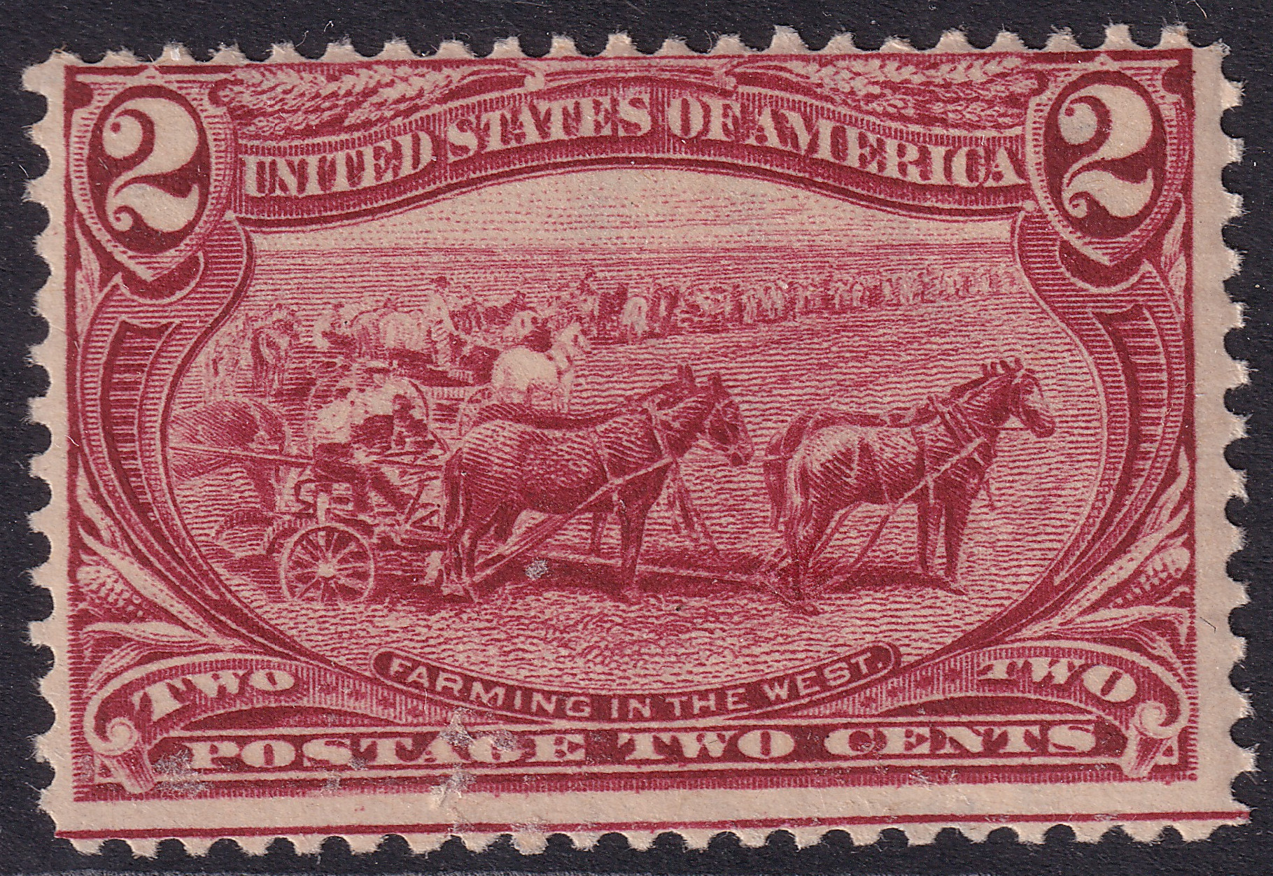 Stamp Picture