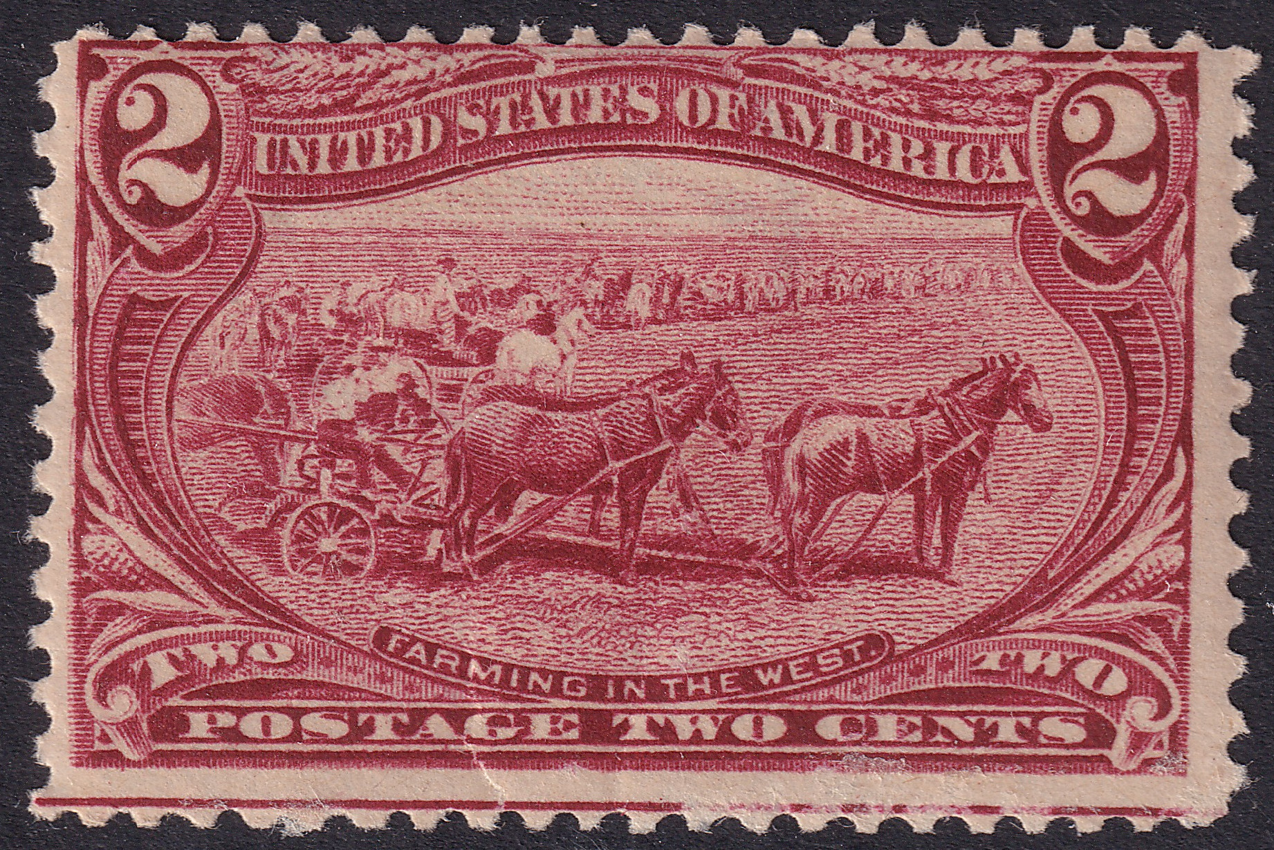 Stamp Picture