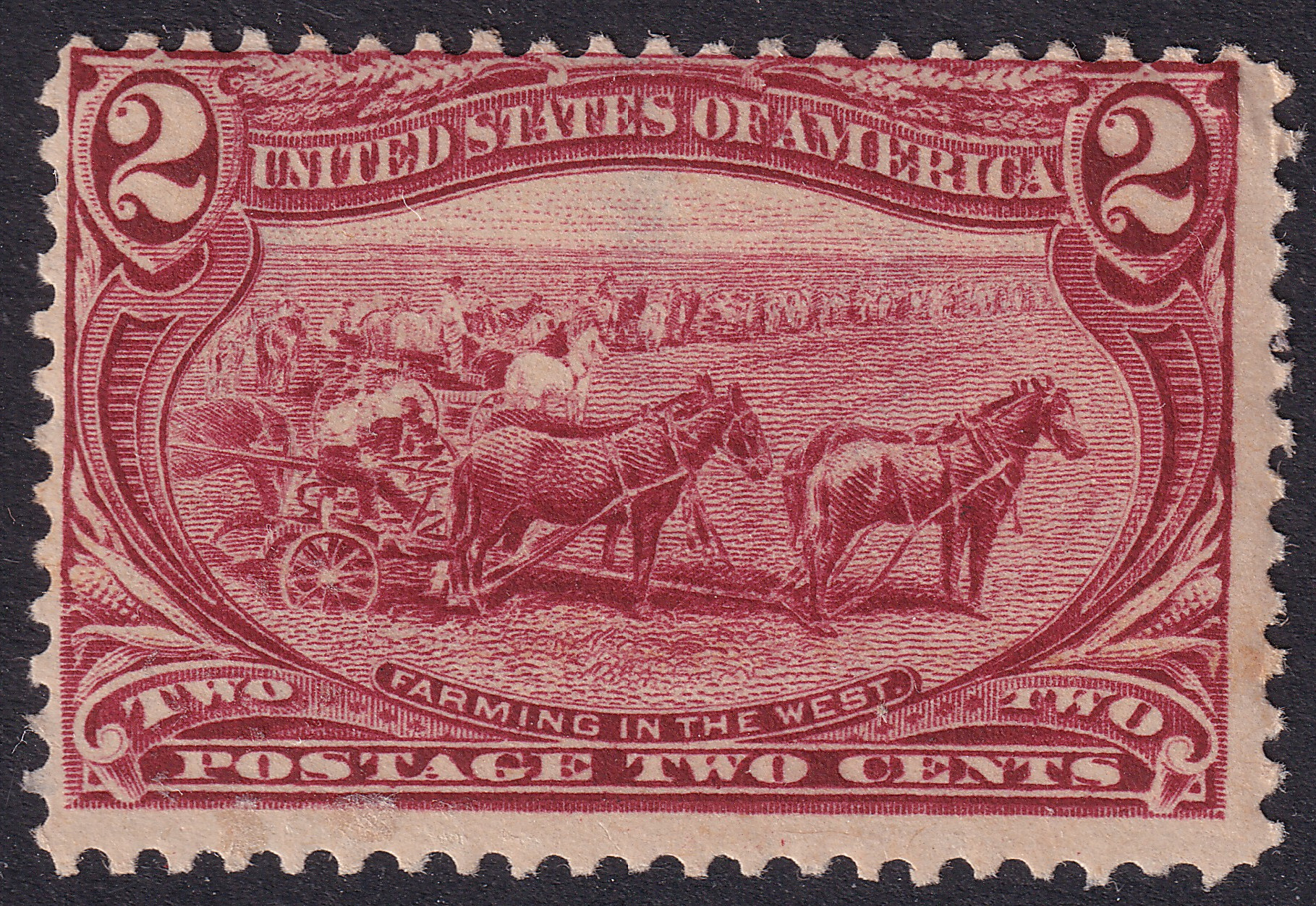 Stamp Picture