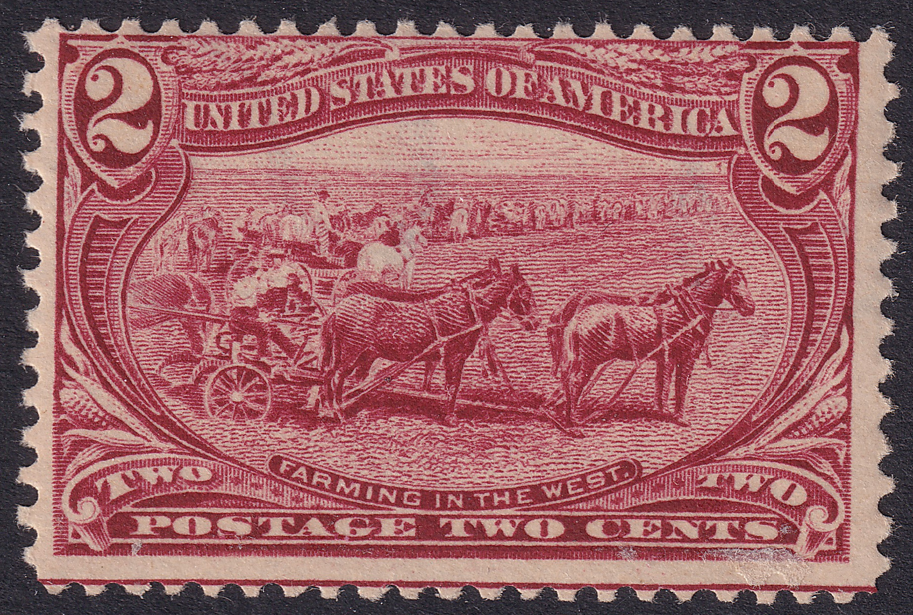 Stamp Picture