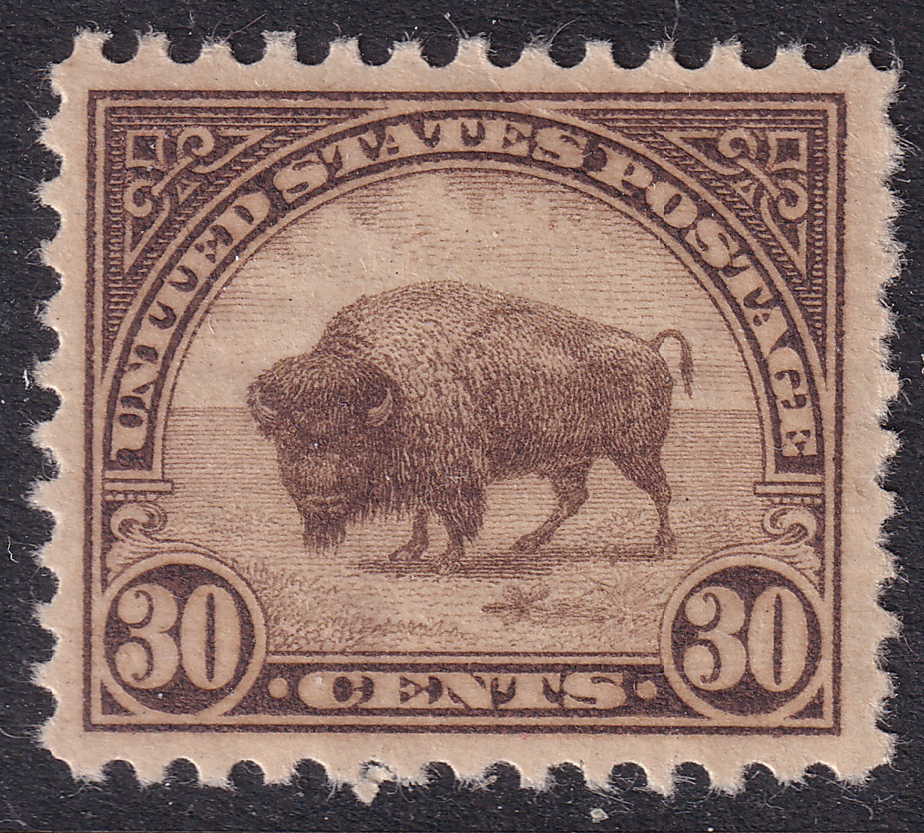 Stamp Picture