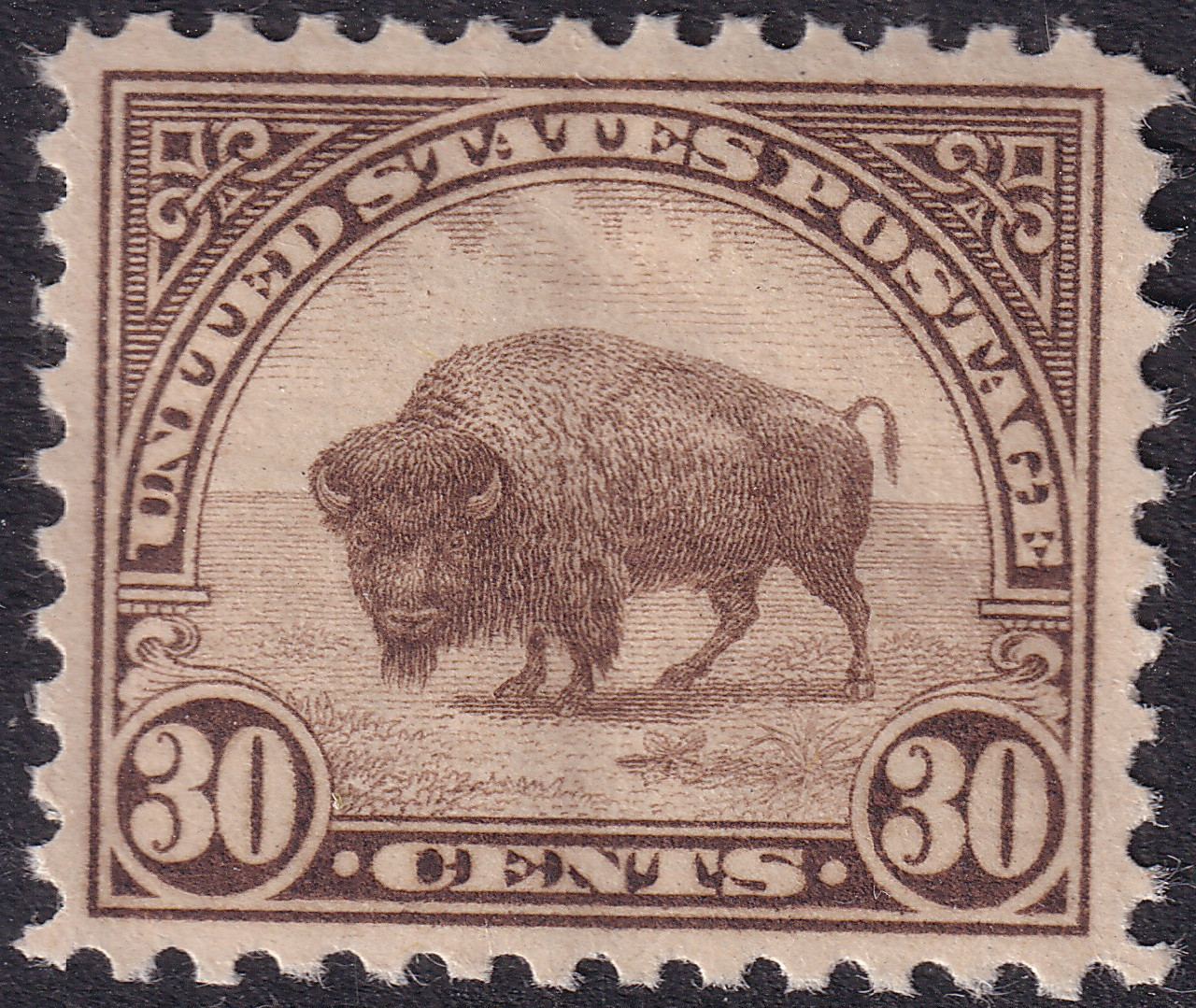 Stamp Picture