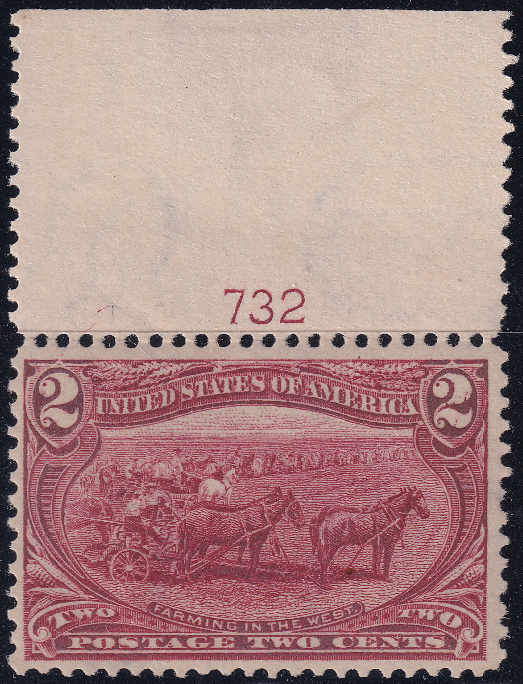 Stamp Picture