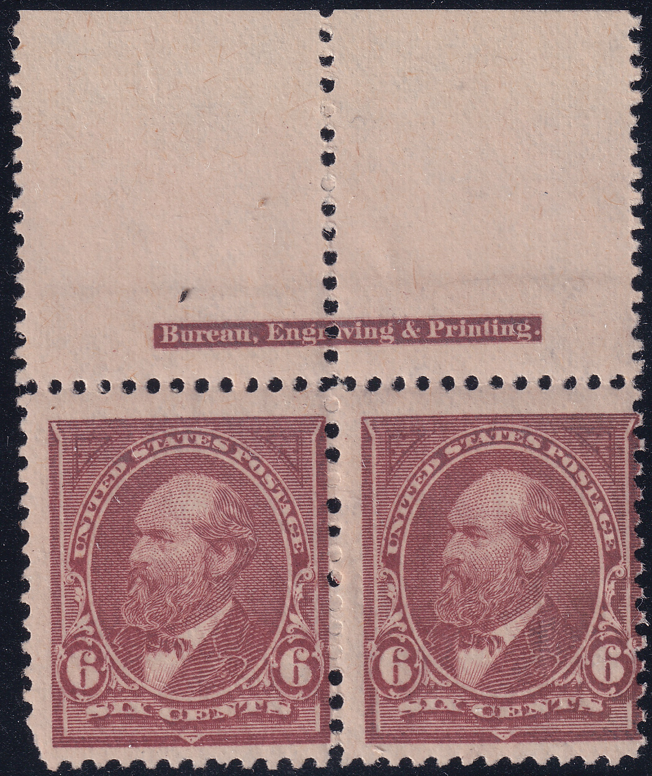 Stamp Picture