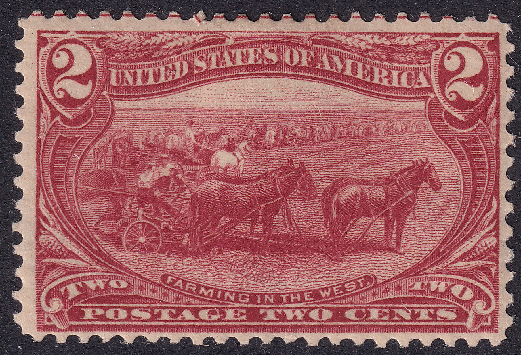 Stamp Picture