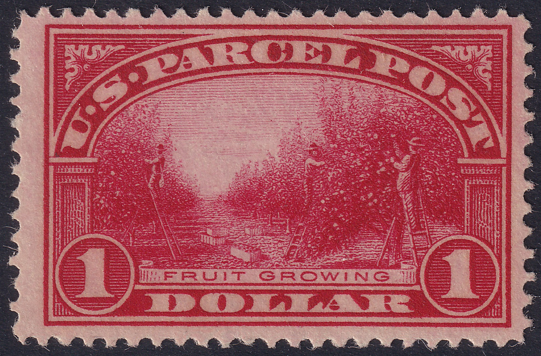 Stamp Picture