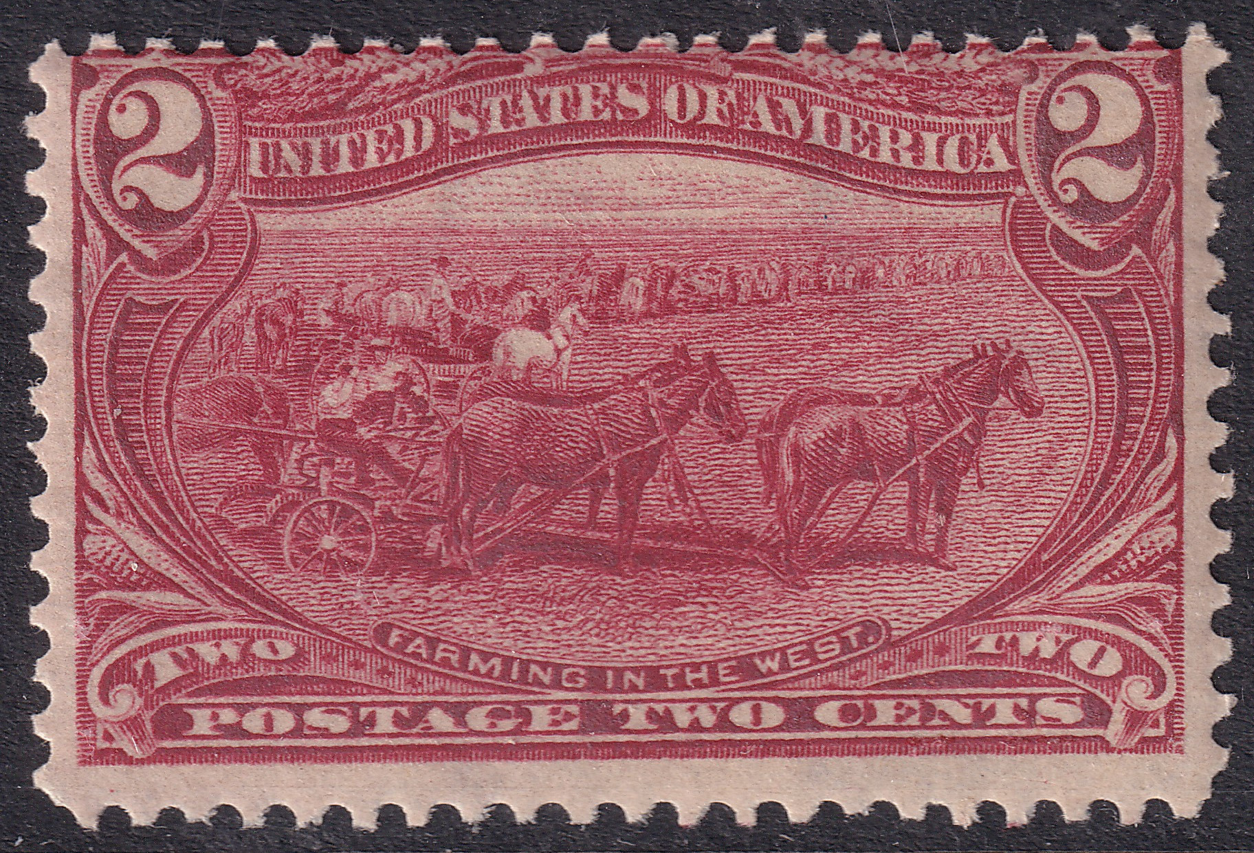 Stamp Picture