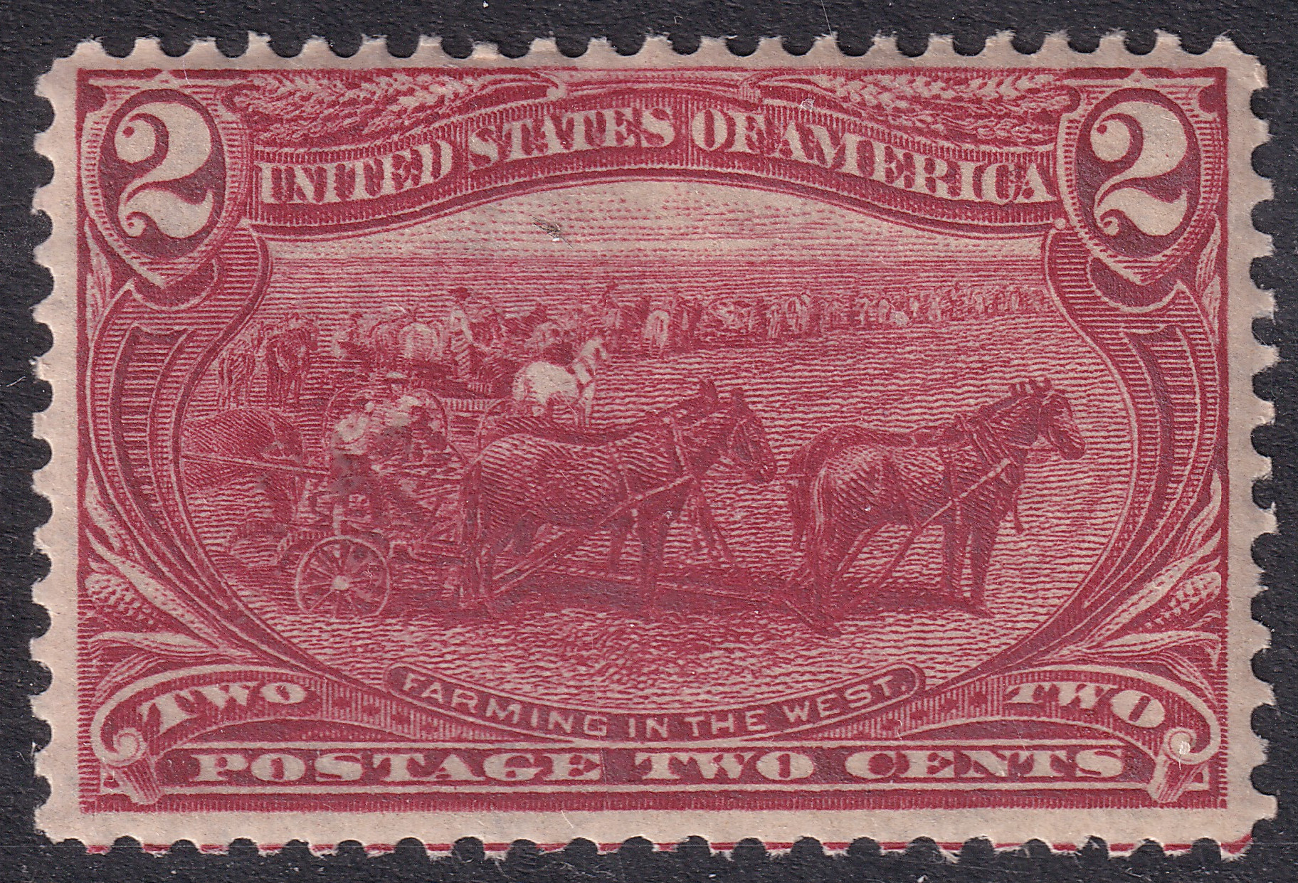 Stamp Picture