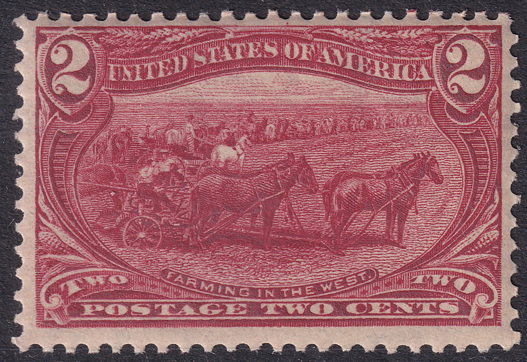 Stamp Picture