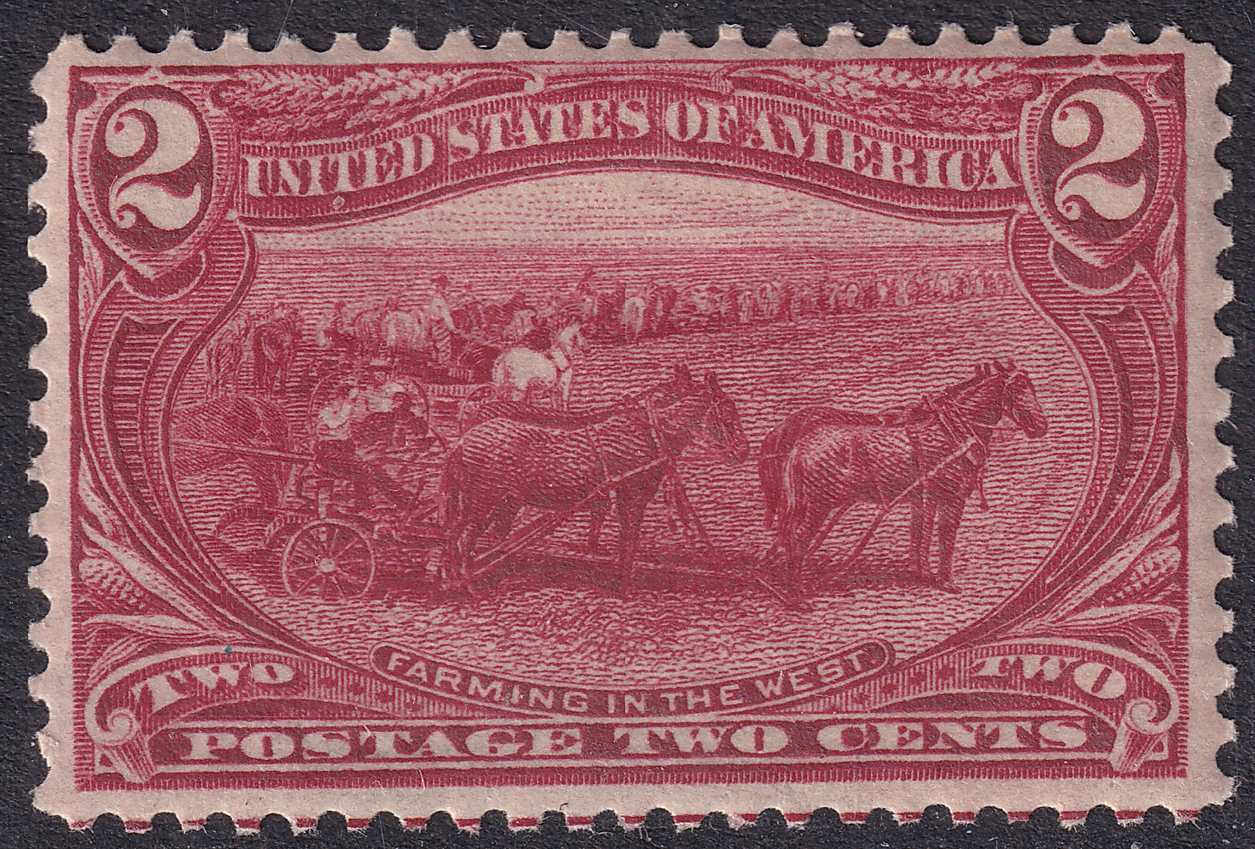 Stamp Picture