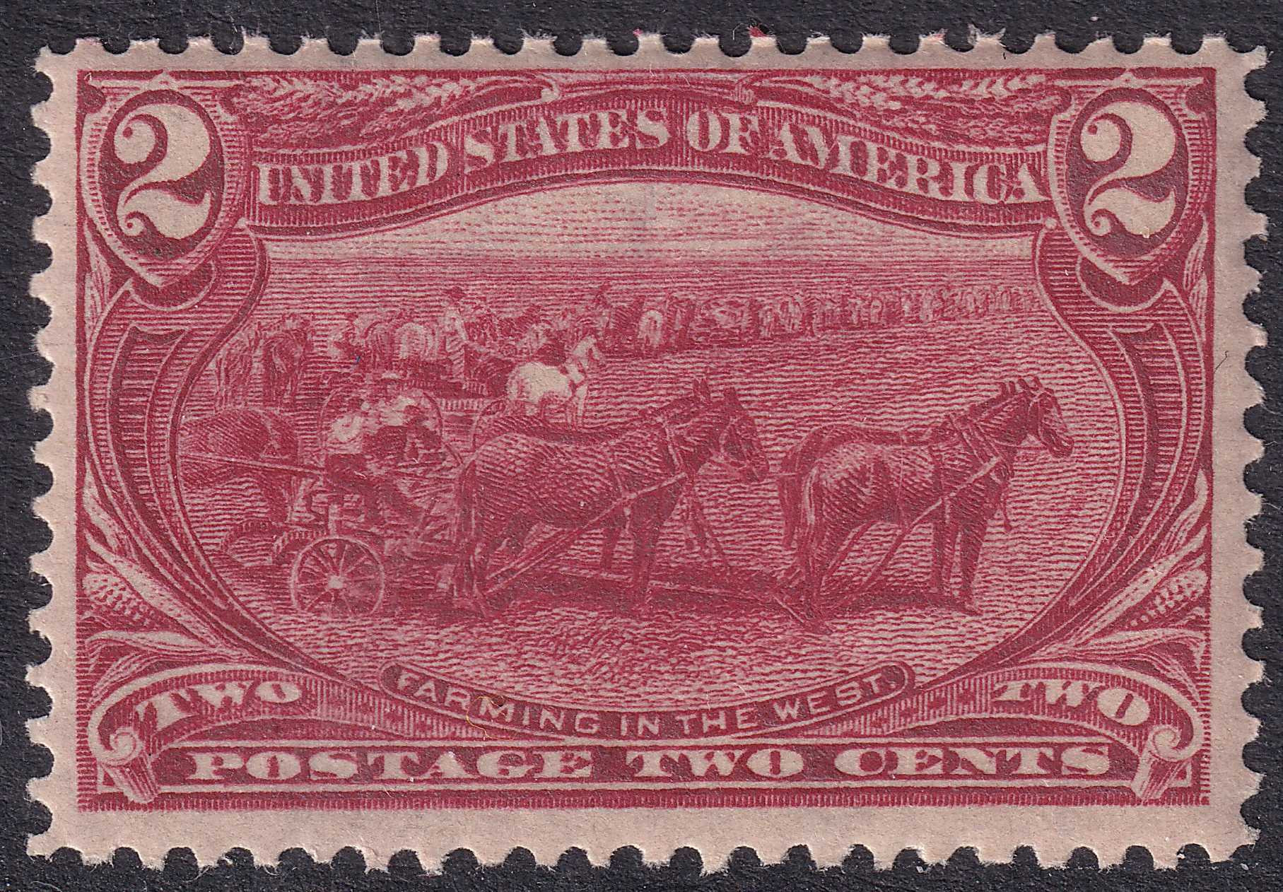 Stamp Picture