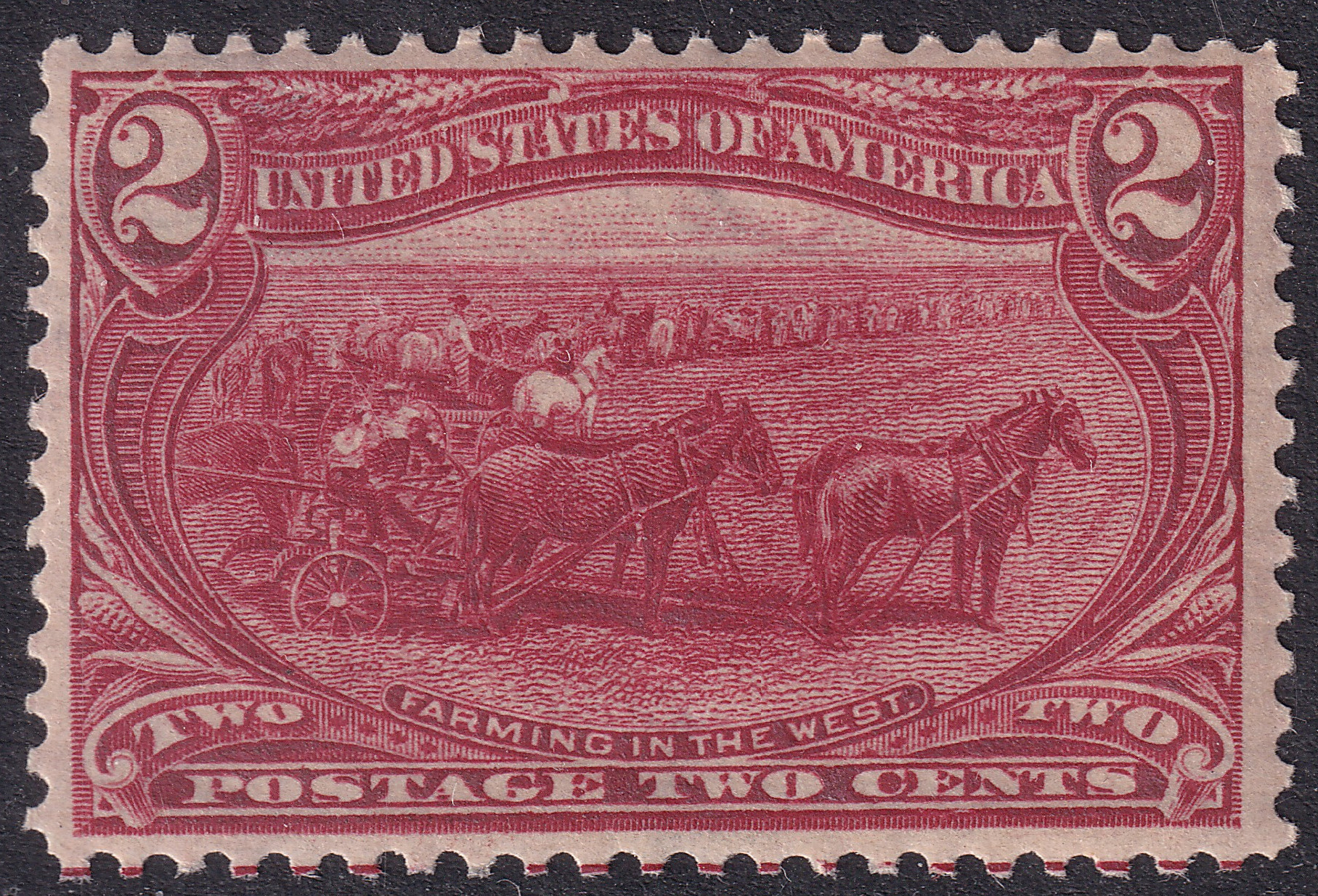 Stamp Picture