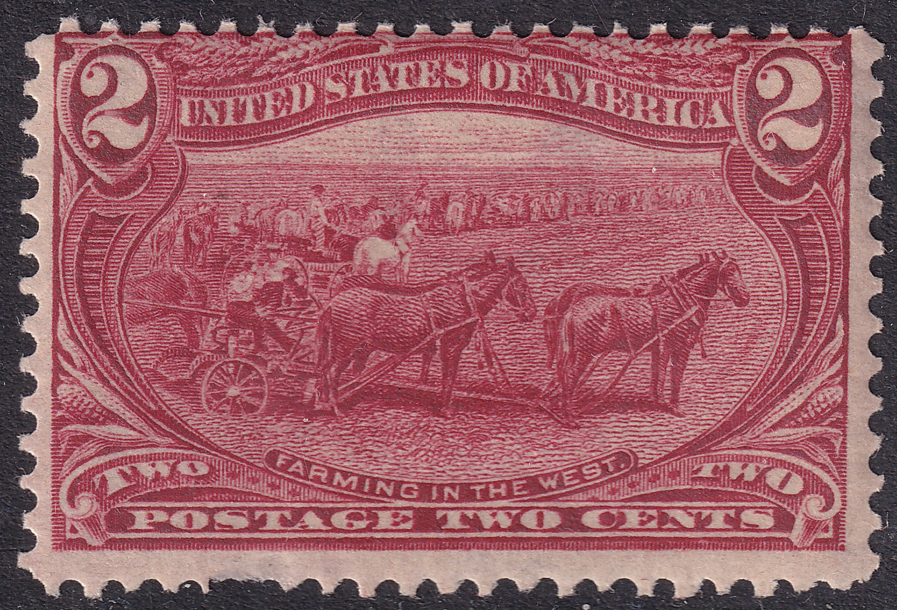 Stamp Picture