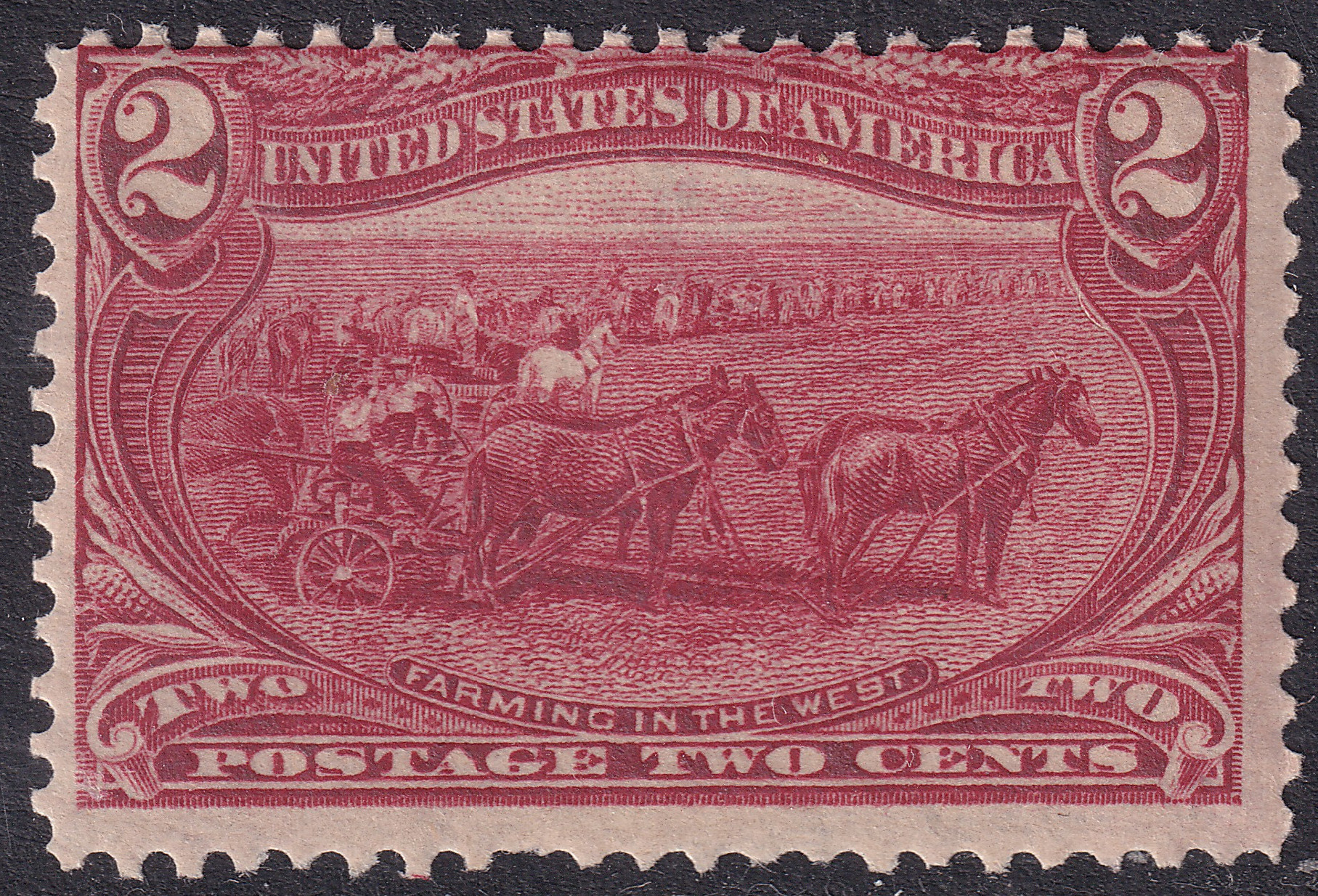 Stamp Picture