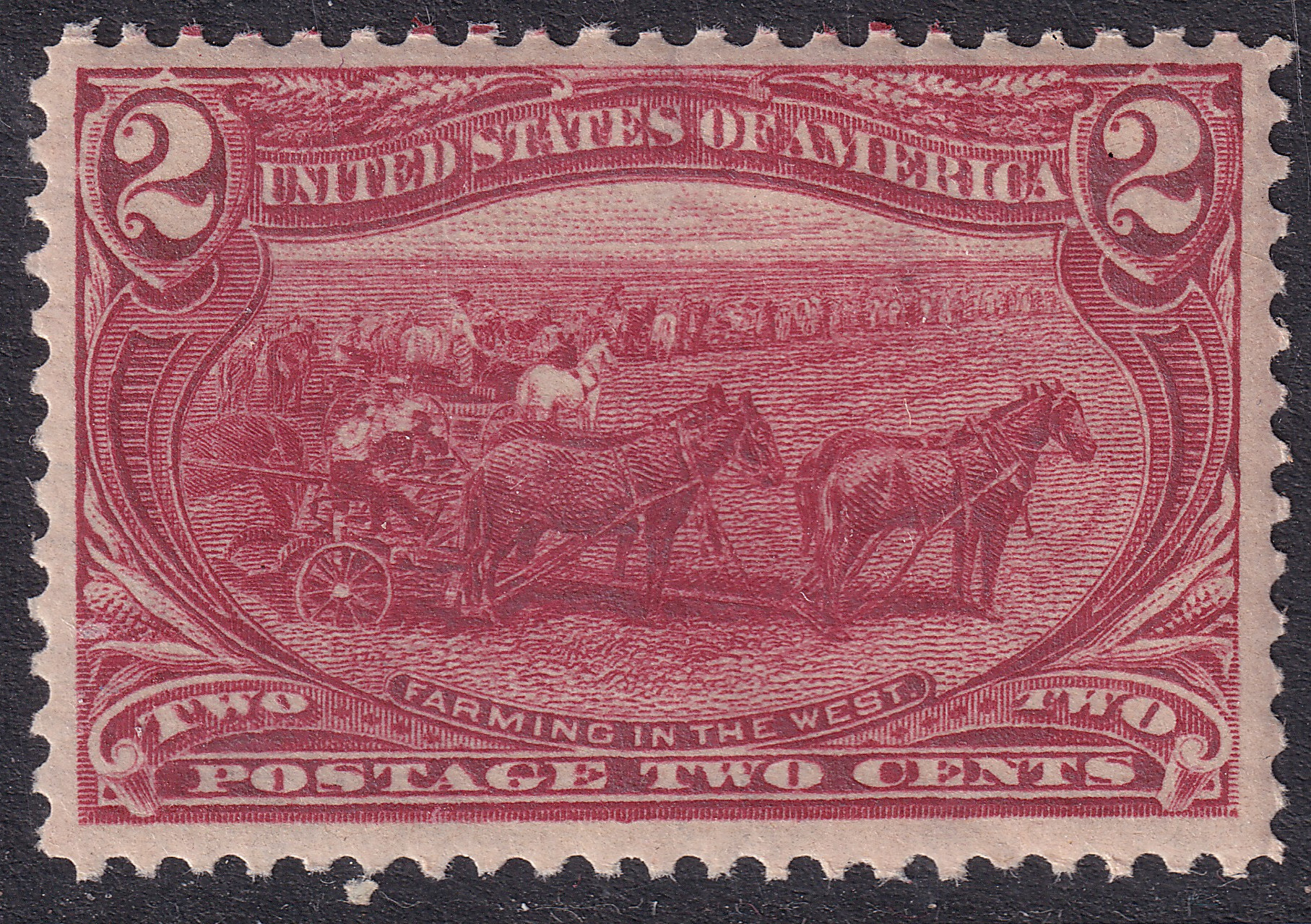 Stamp Picture