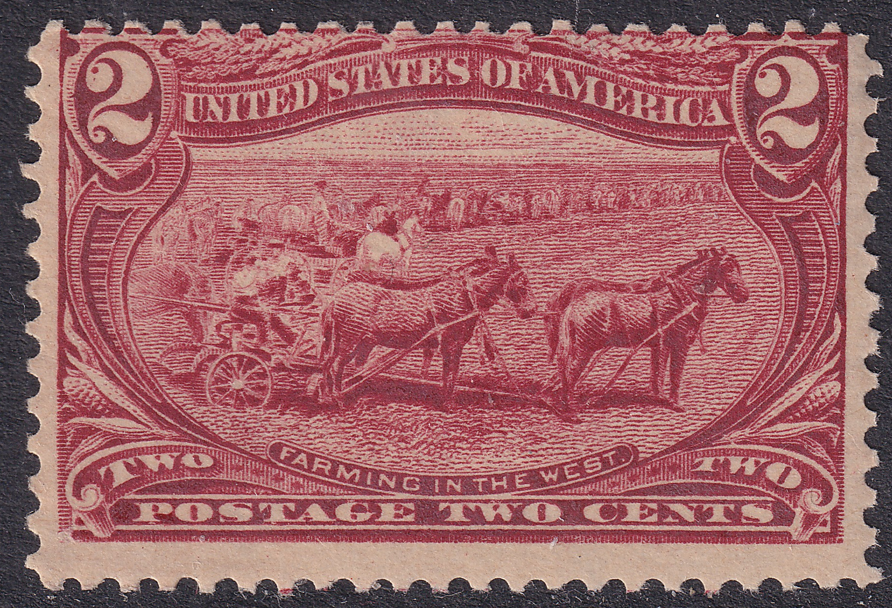 Stamp Picture