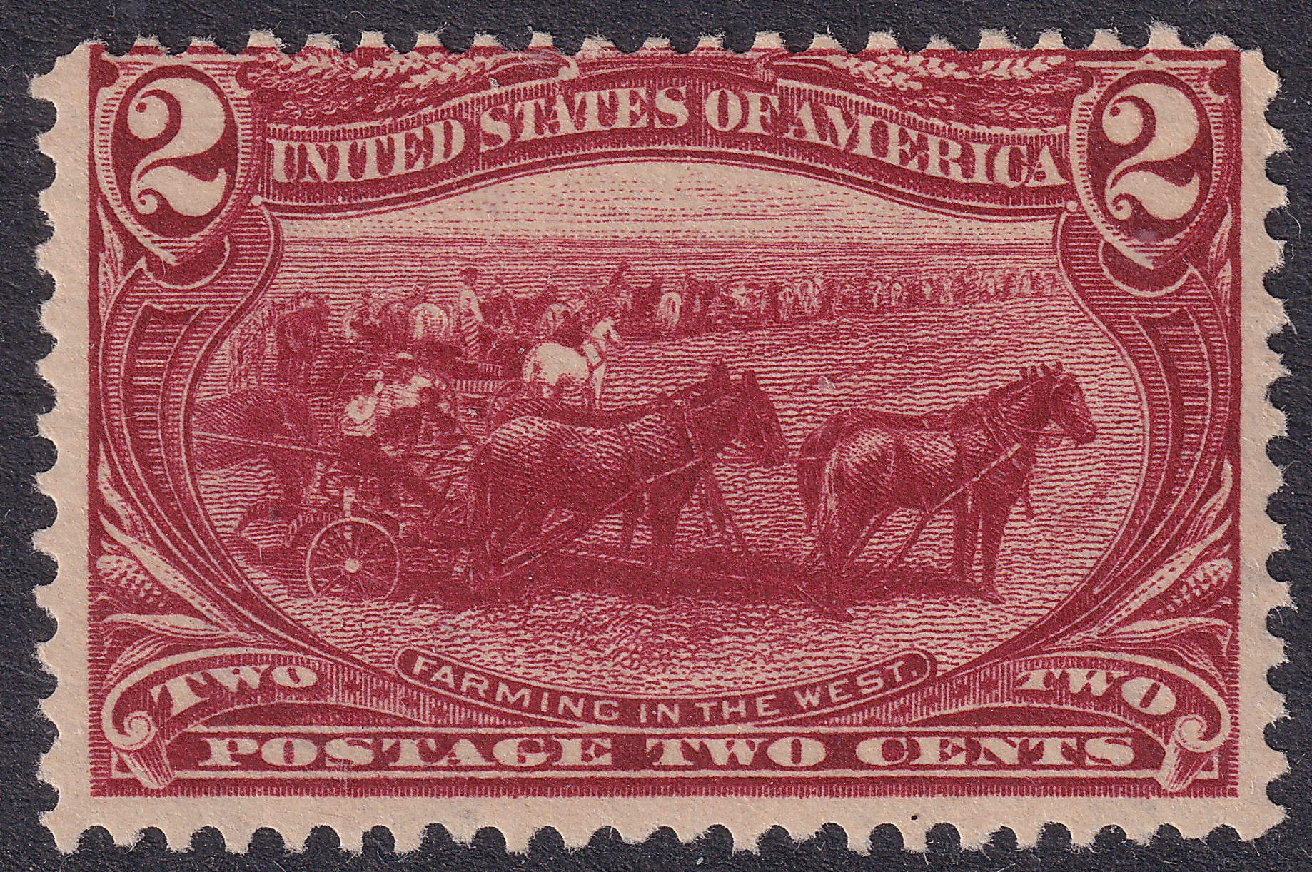 Stamp Picture