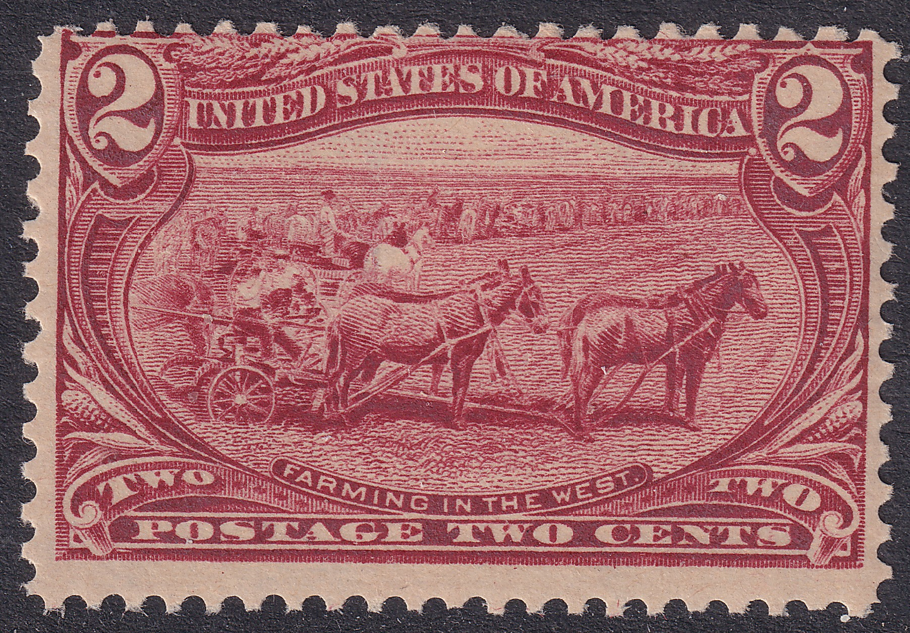 Stamp Picture