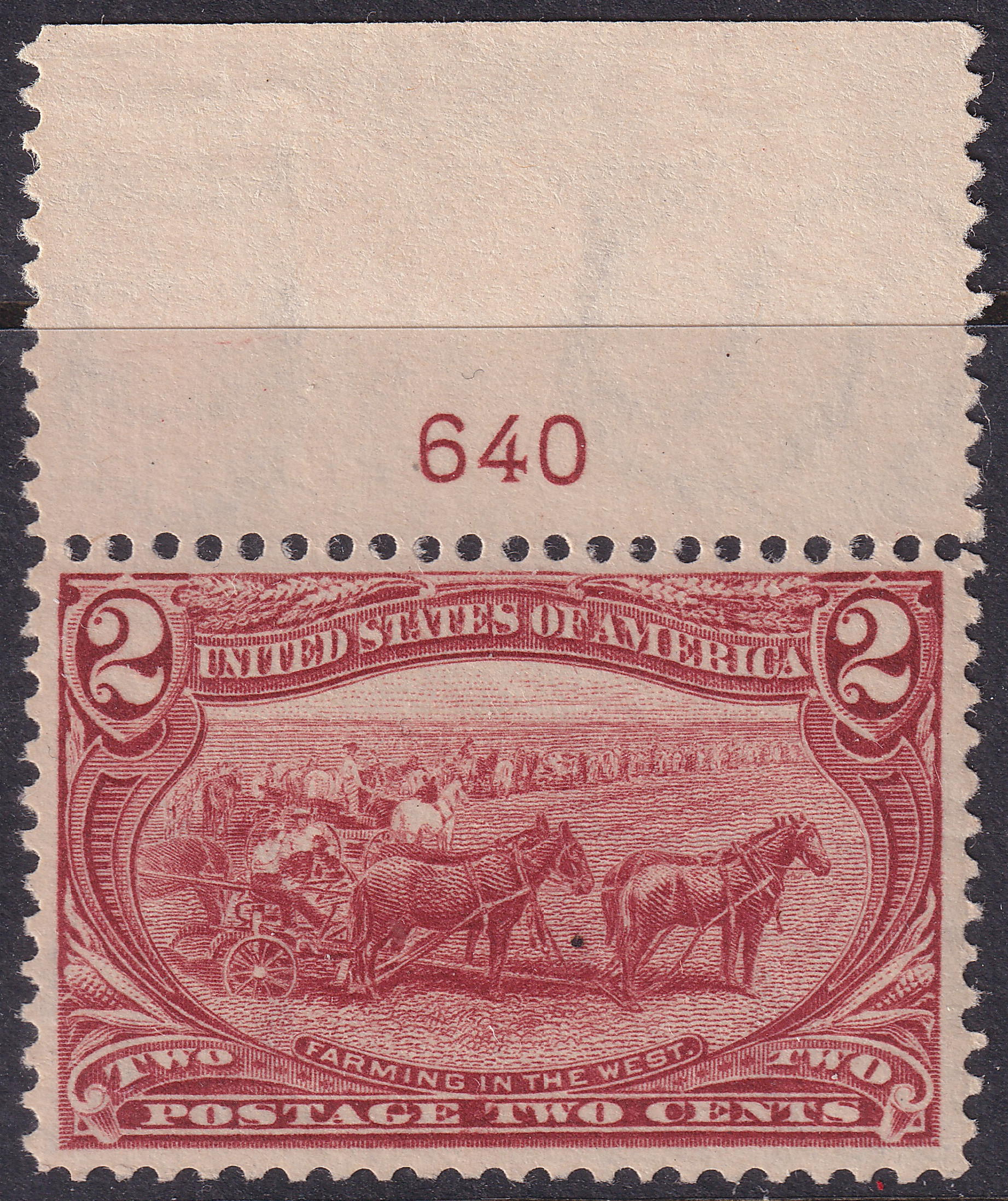 Stamp Picture