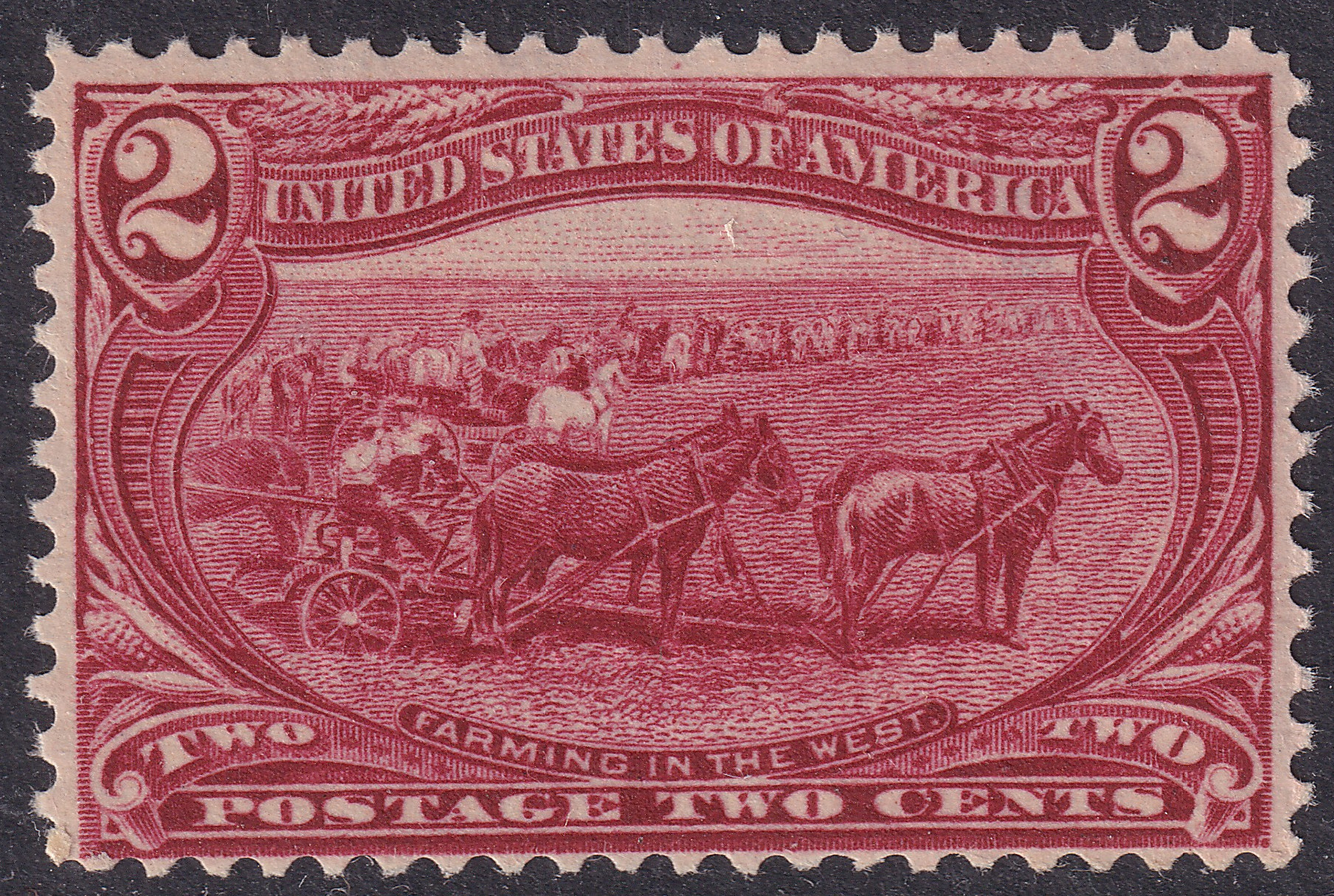 Stamp Picture