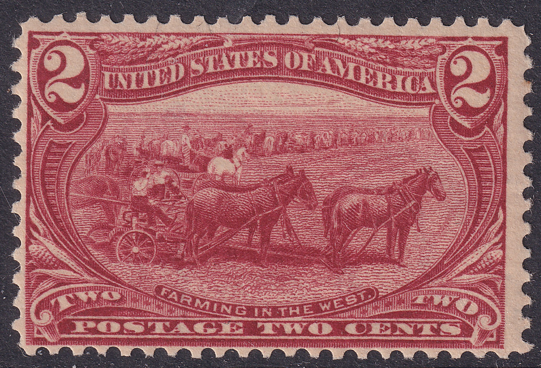 Stamp Picture