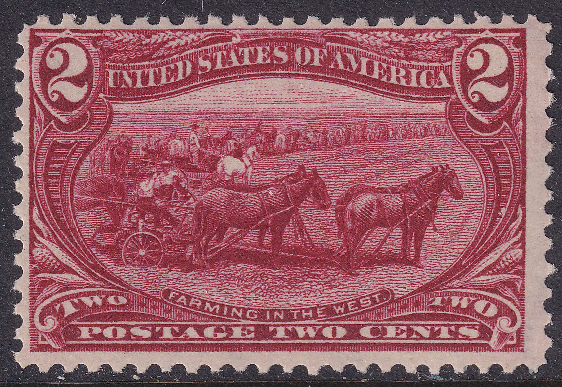 Stamp Picture