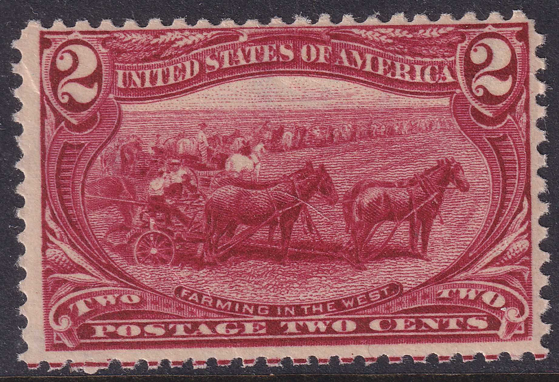 Stamp Picture