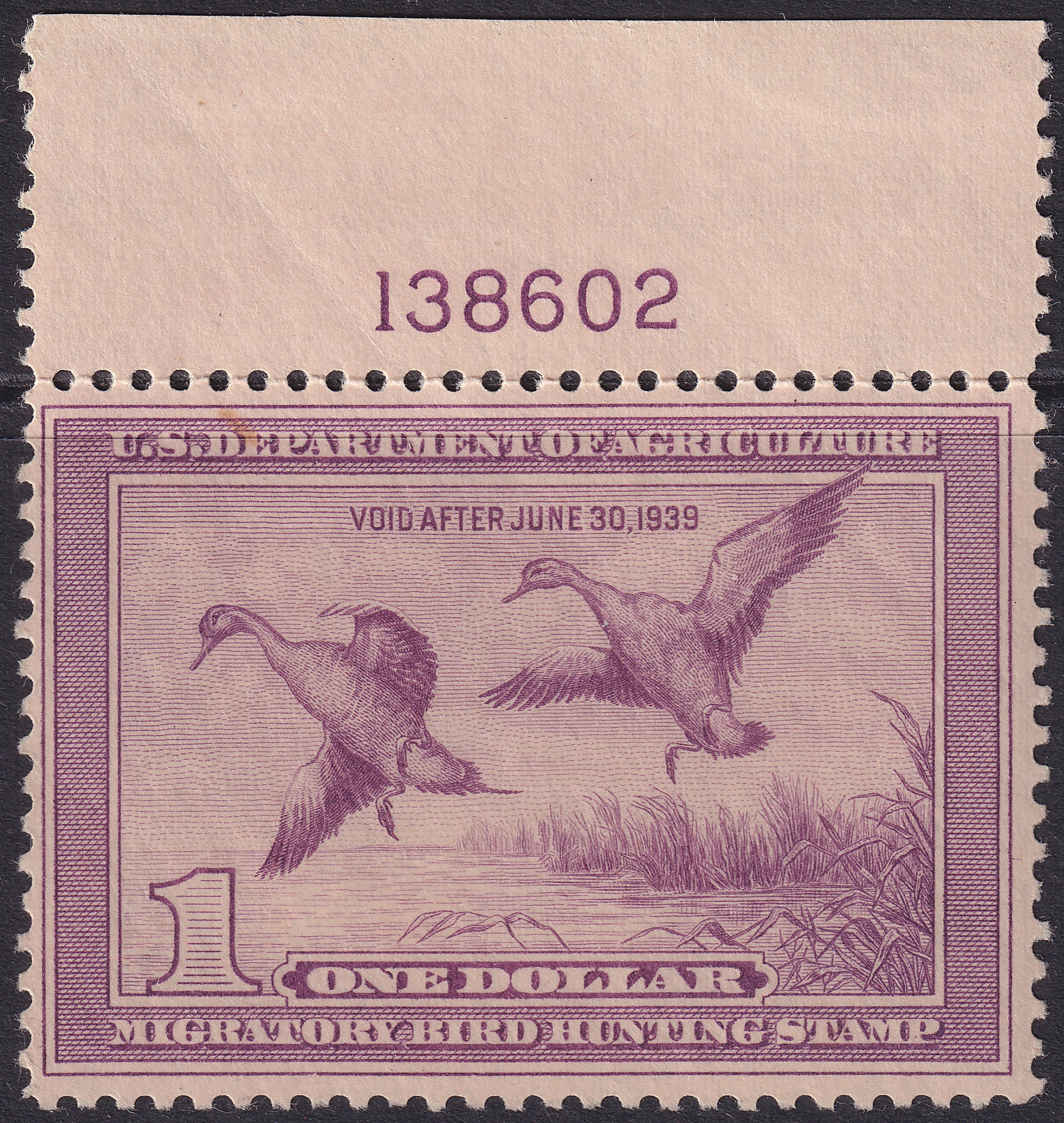 Stamp Picture