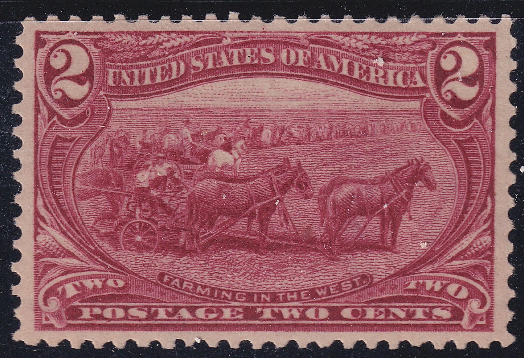 Stamp Picture