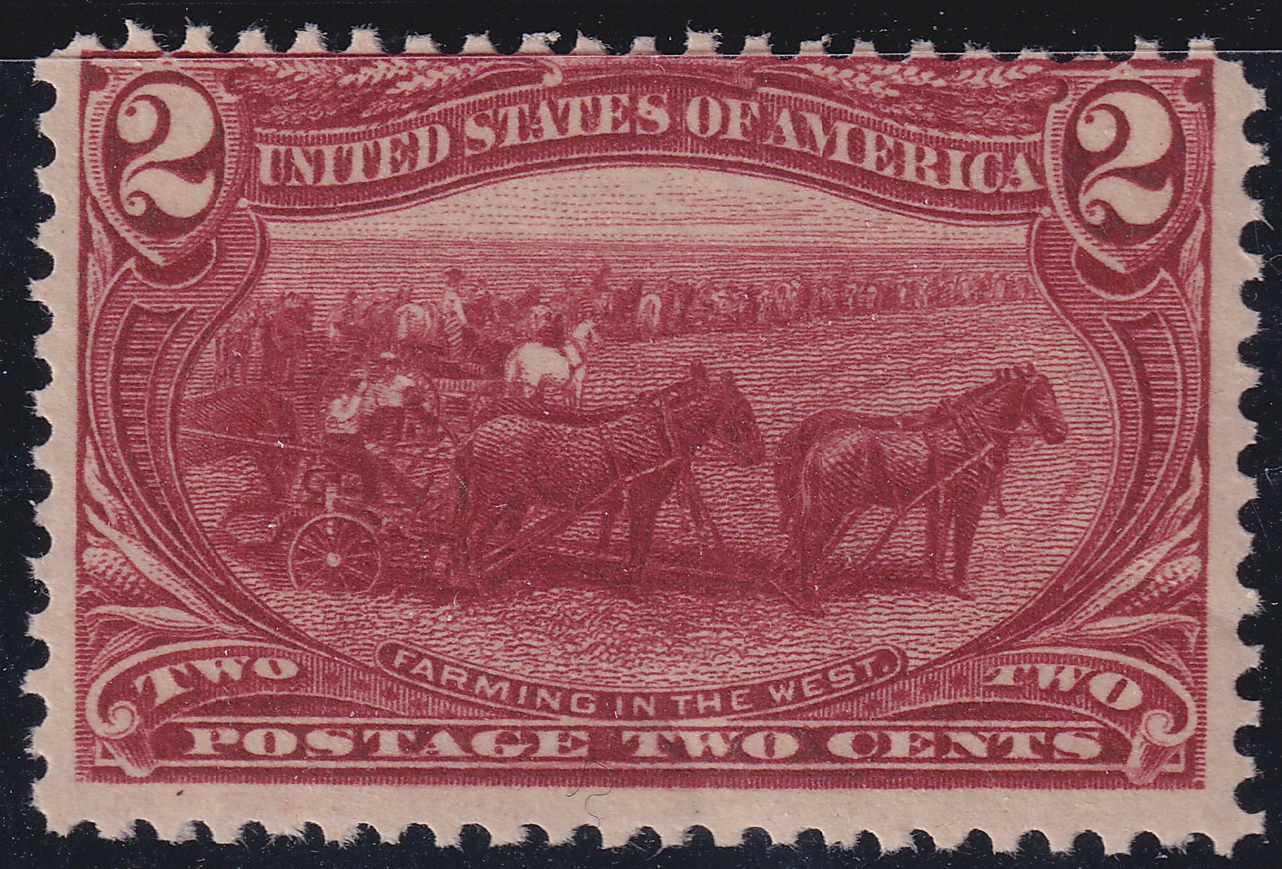 Stamp Picture