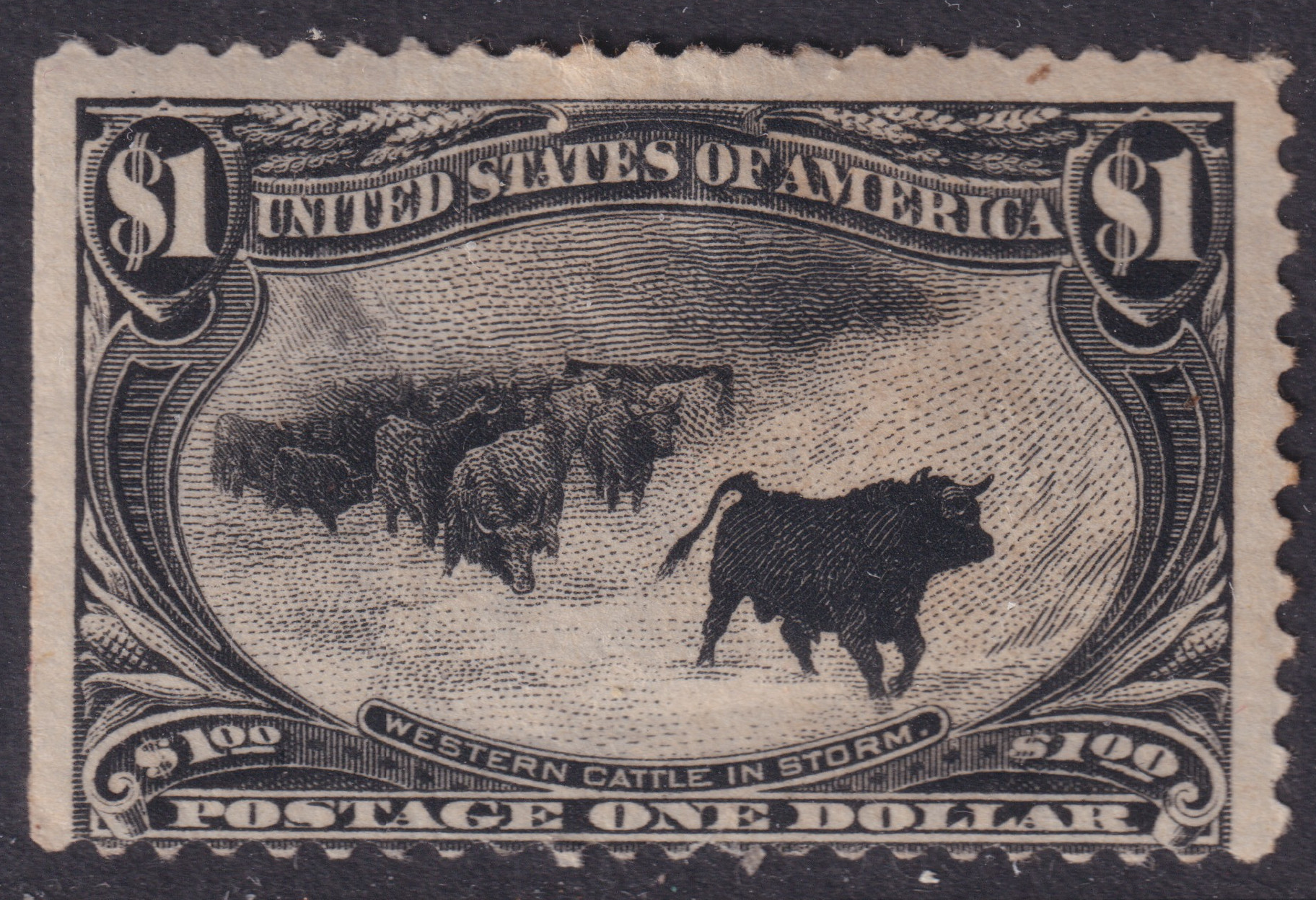 Stamp Picture