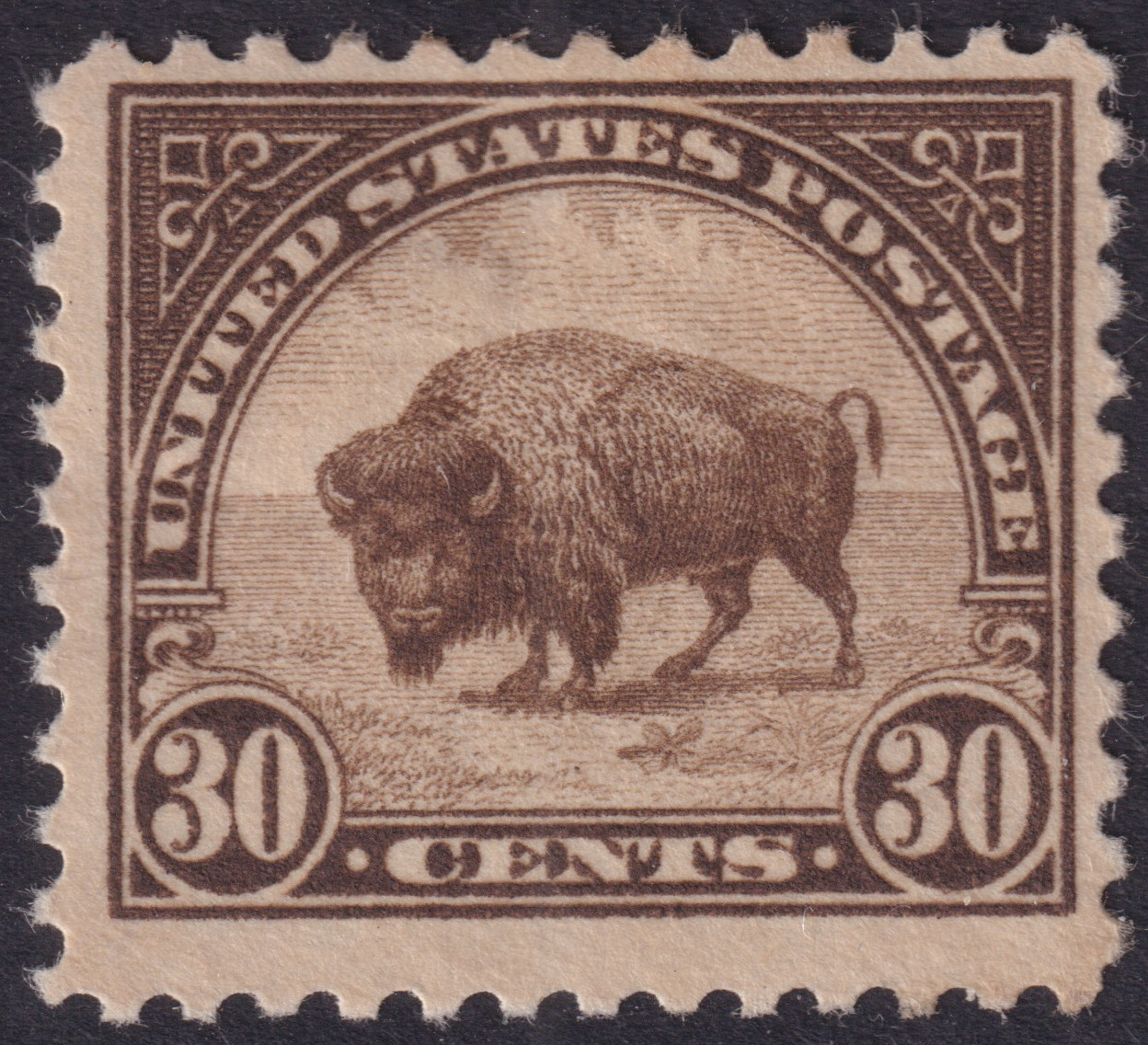 Stamp Picture
