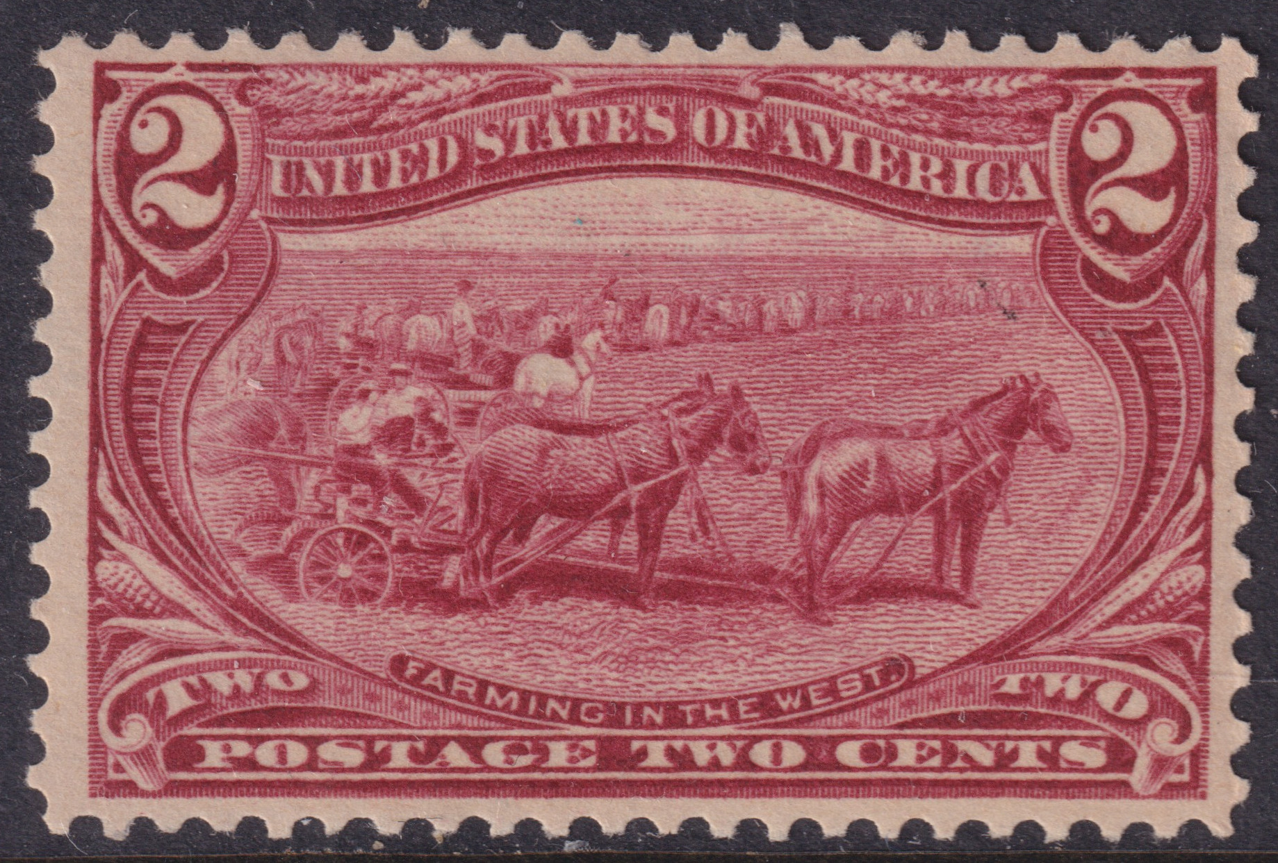 Stamp Picture