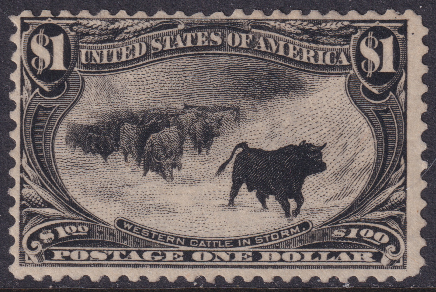 Stamp Picture