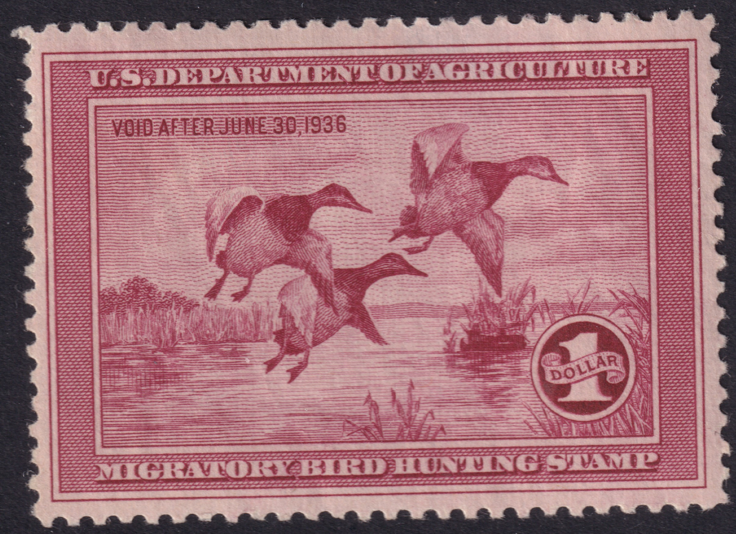 Stamp Picture