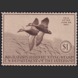 Stamp Picture