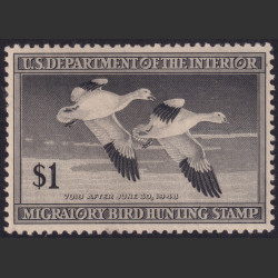 Picture of Lot #53209