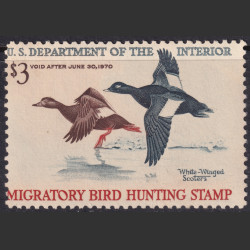 Stamp Picture