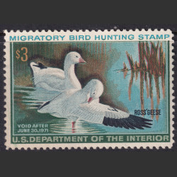 Stamp Picture
