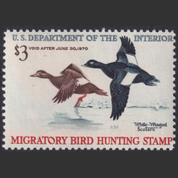 Stamp Picture